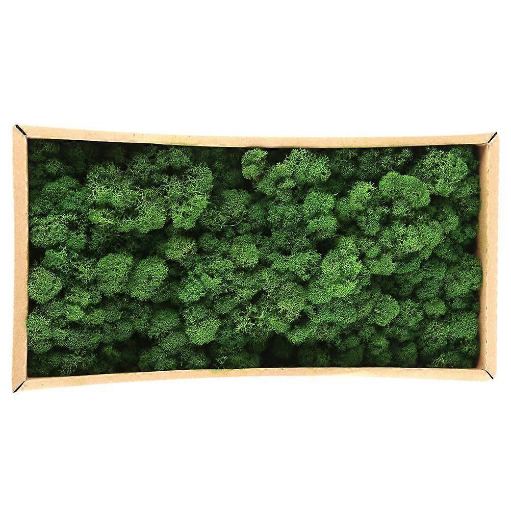 Preserved Decorative Moss Durable Natural Preserved Moss for Home Decorations Model Making