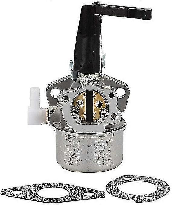 Briggsstratton 696065 697422 Carburetor For 110402-0206-e1 Chainsaw