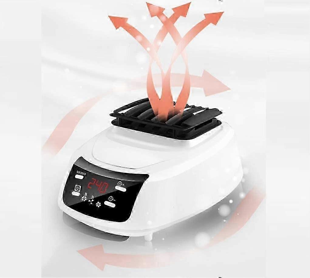 Portable Electric Clothes Dryer with Timing and Negative Ion Drying Machine, a Mute Warm Air Dryer Rack.