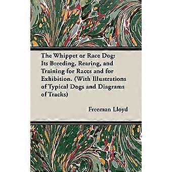 Le Whippet ou chien de course: son élevage, son élevage et son entraînement pour les courses et pour l’exposition. (Avec des illustrations de chiens typiques et des diagrammes de pistes)