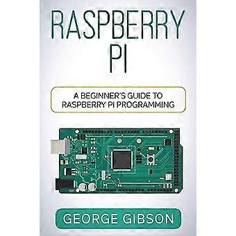 Raspberry Pi : una guía para principiantes sobre la programación de Raspberry Pi