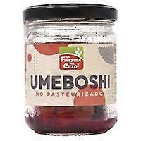 Umeboshi Ryujin Bio 100 g