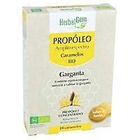 Propolis Organic Candies 38.4 g