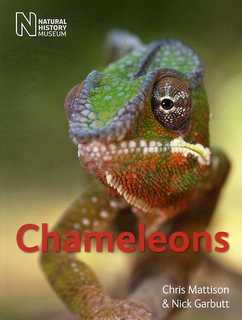 Chameleons by Nick Garbutt Paperback Book