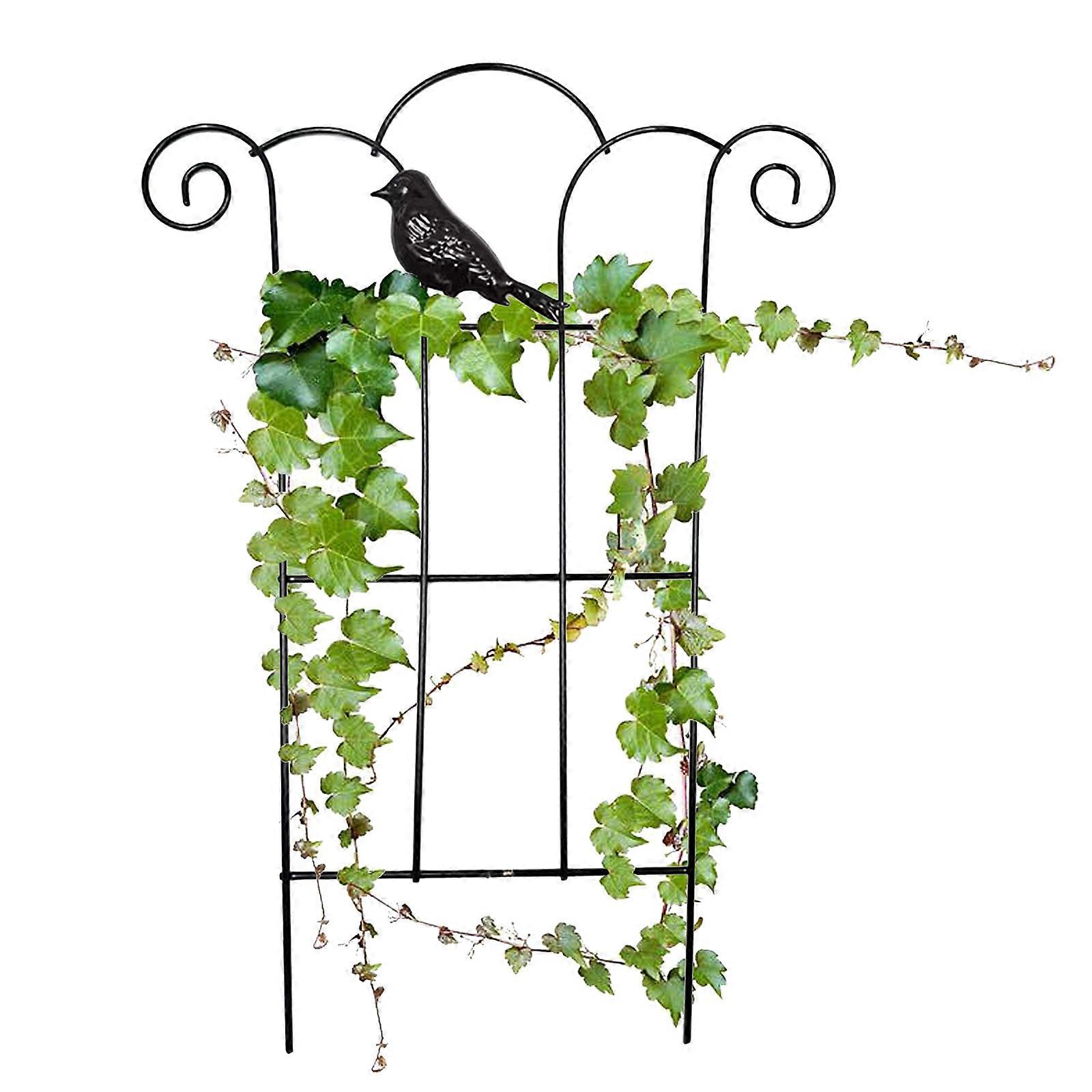 Vine Plant Support Trellisfor Vines Stainless Steel Garden Trellis for Climbing Plants Vine Plant Support Trellis for Vines
