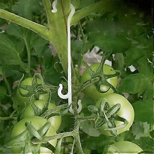 100Pcs 13CM Tomato Support J Hooks Tomato Plant Support Clips Garden Vegetable Clips to Prevent Tomatoes Fruit Cluster From Pinching or Falling off
