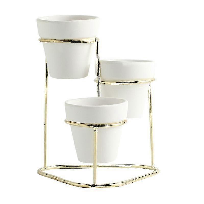 1pcs Mini Cactus Pots