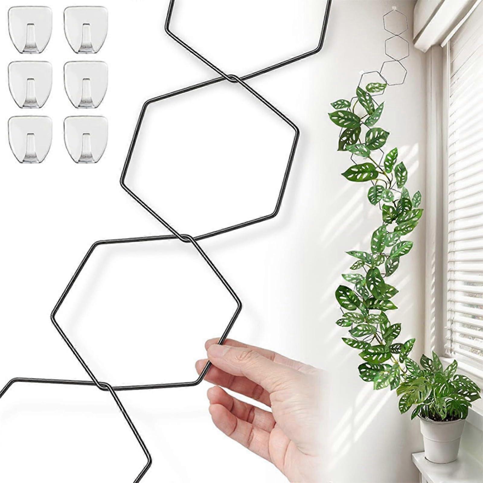 Climbing Plants Chain Trellis Chain Trellis for Climbing Plants Indoor Outdoor Indoor Plant Trellis with 6 Hooks (Hexagone)