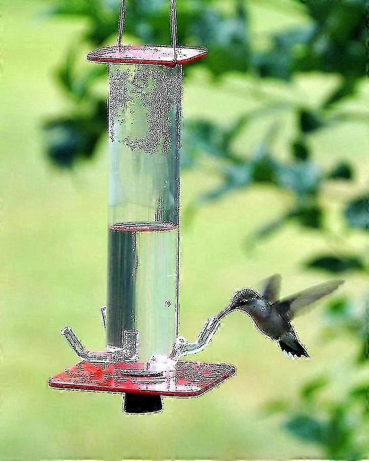 Peter's Hummingbird Feeder