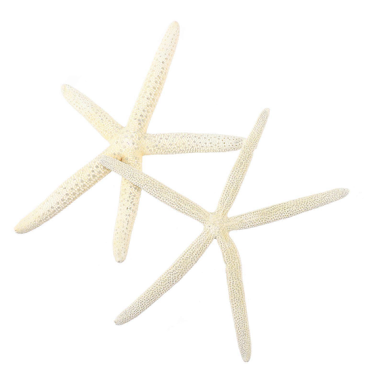 Beach Sea Star Wedding Seashell Craft Decoration 6Pcs Pack