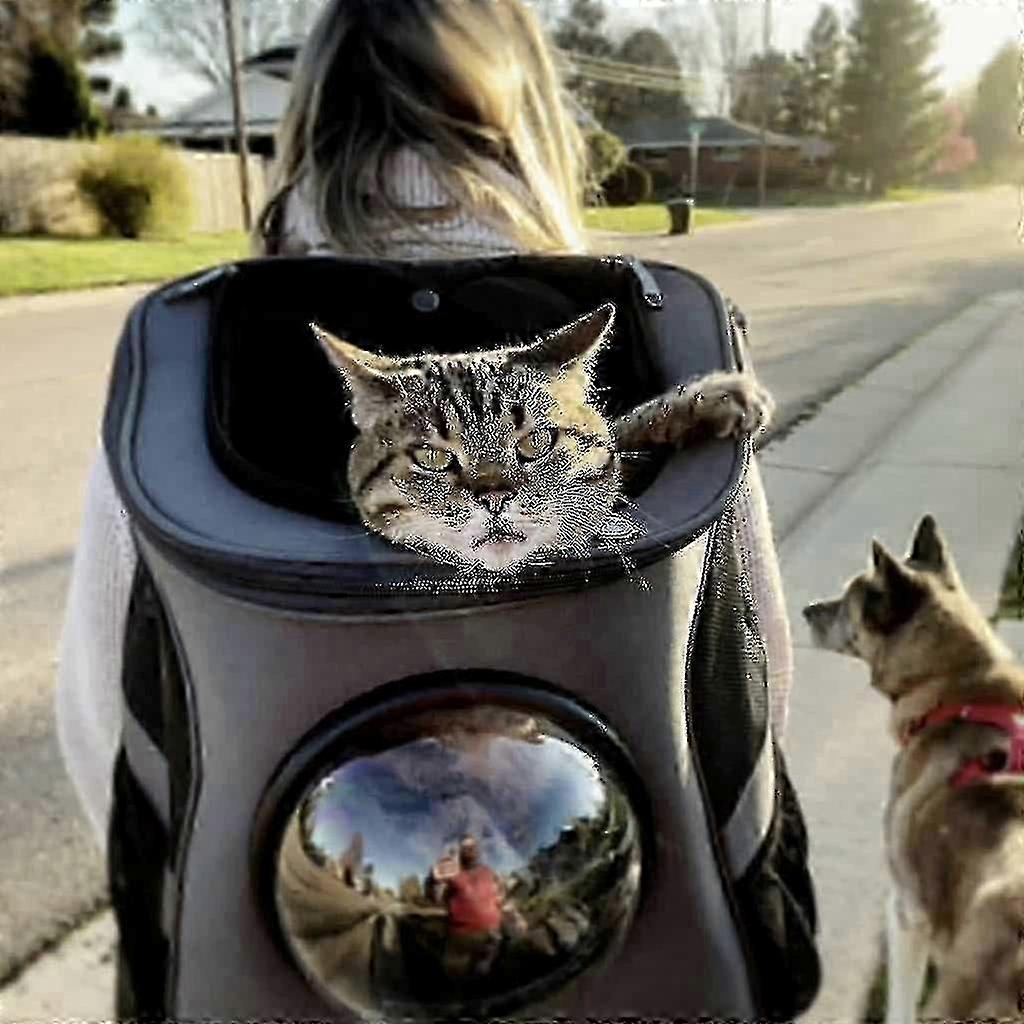 Cat Backpack For Larger Cats