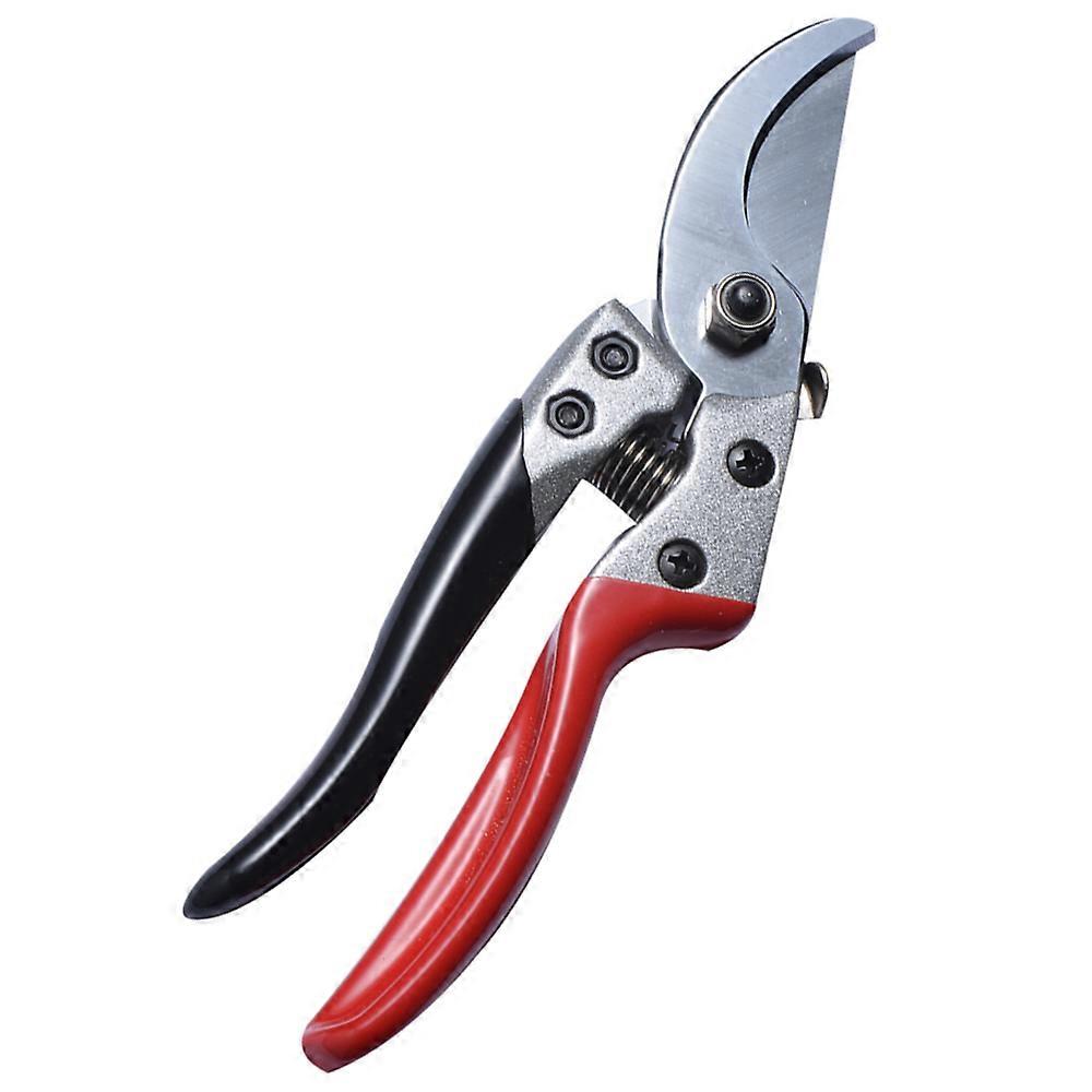 Gardening tools scissors, garden pruners