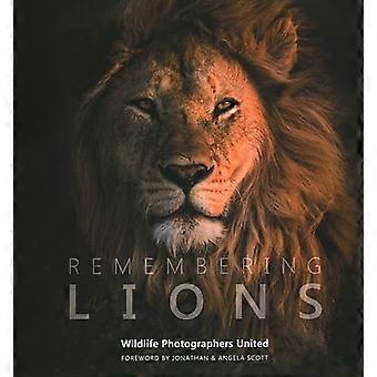 Remembering Lions (Remembering Wildlife)