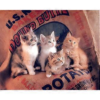 Jigsaw Puzzles Funny Cat Gunnie Sack Cute Kittens Kids Animal Jigsaw Puzzle VV845