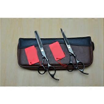 Professional Hair Cutting Scissors Set, Hairdressing Thinning Shears for Salon and Home Use, Stainless Steel