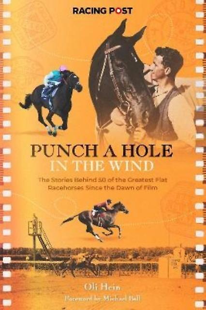 Punch A Hole - Oli Hein
