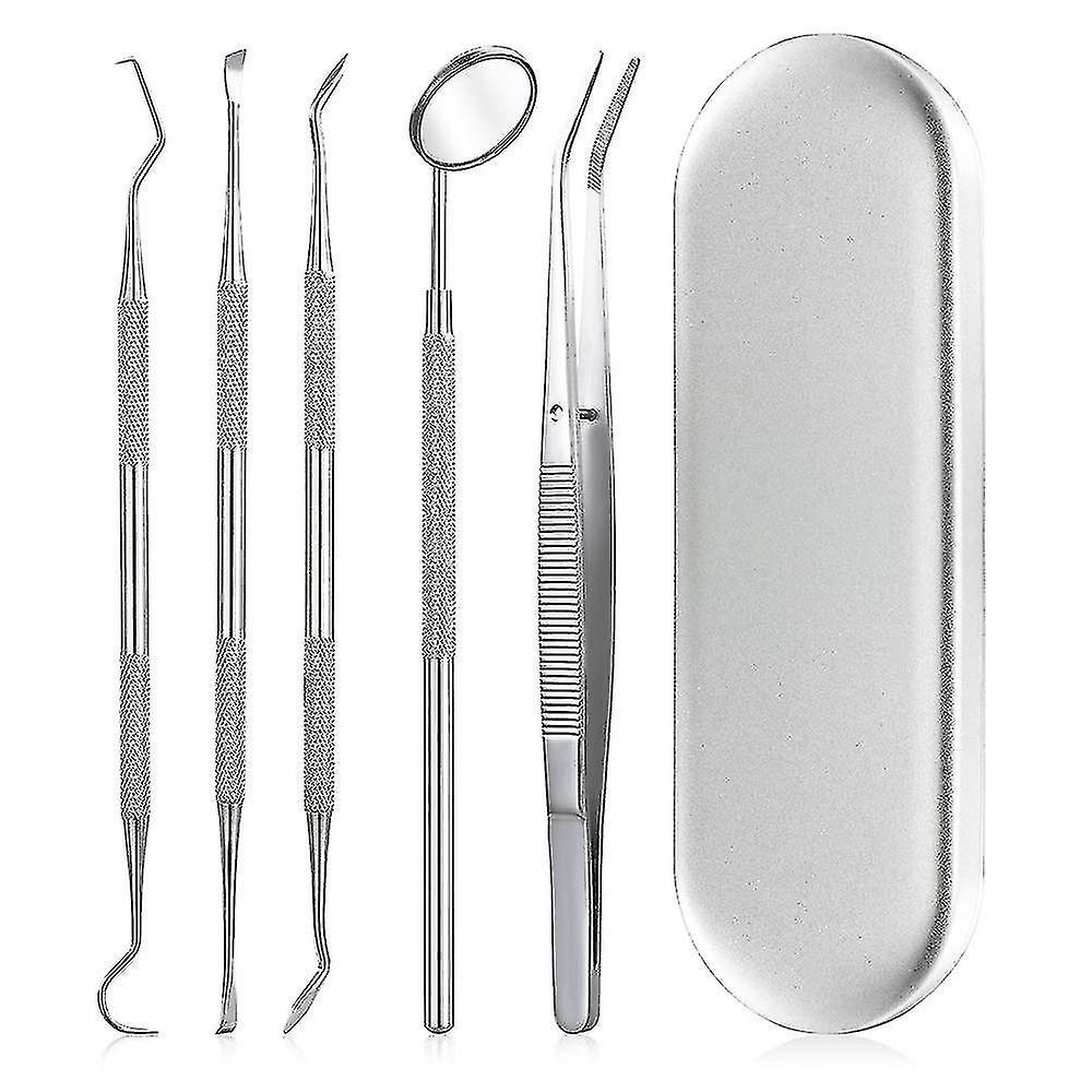 Dental Care Kit For Plaque Removal Tool Set Including Dentist Mirror And Tartar Scrapers