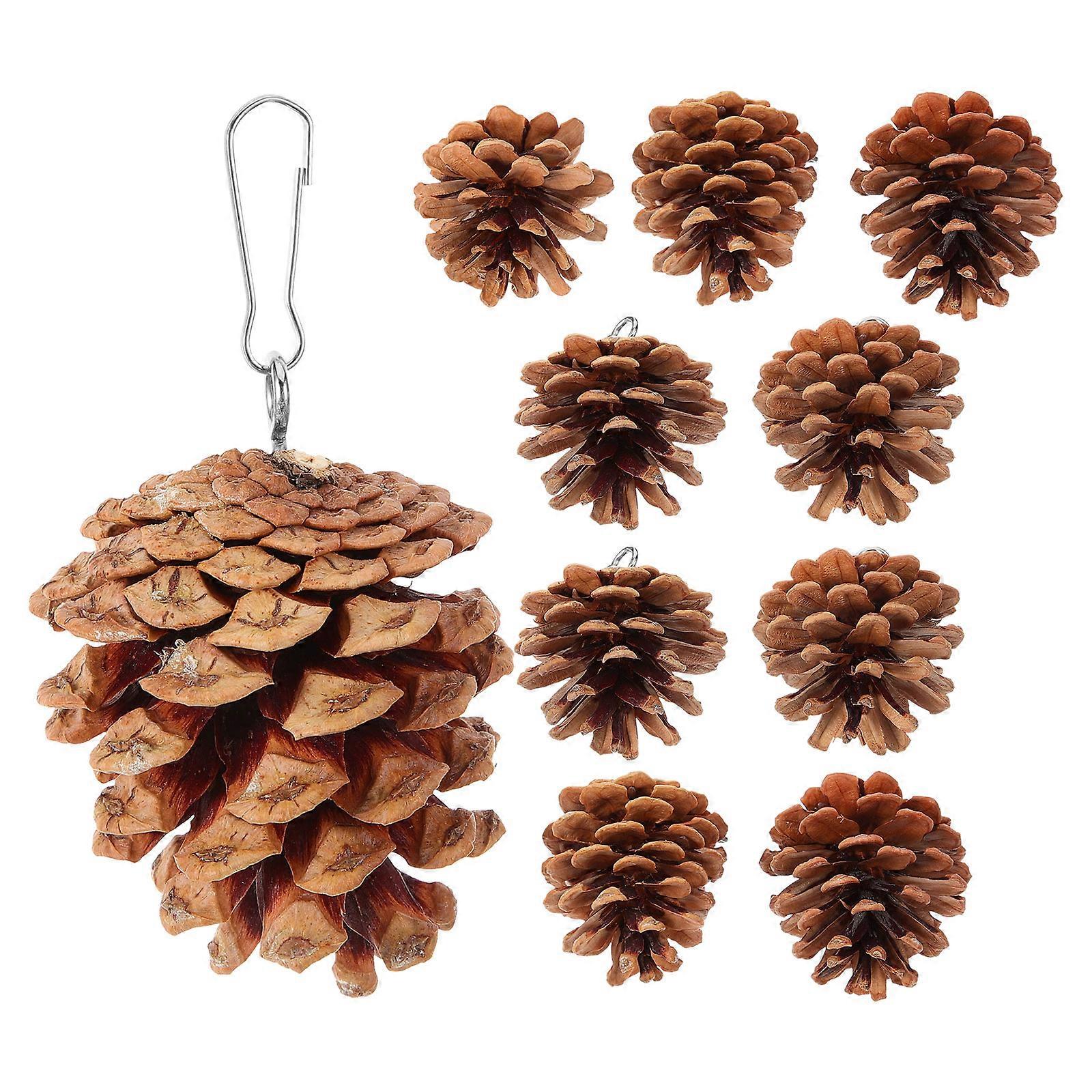 Pine Cone Chewing Toys for Parrots – Durable Bite Resistant Hanging Foraging & Beak Grinding Accessories for African Grey, Budgie, Cockatiel