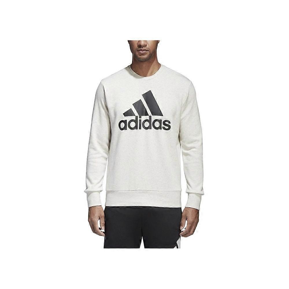 Adidas Ess Big Logo Crew CD6276 universal all year men