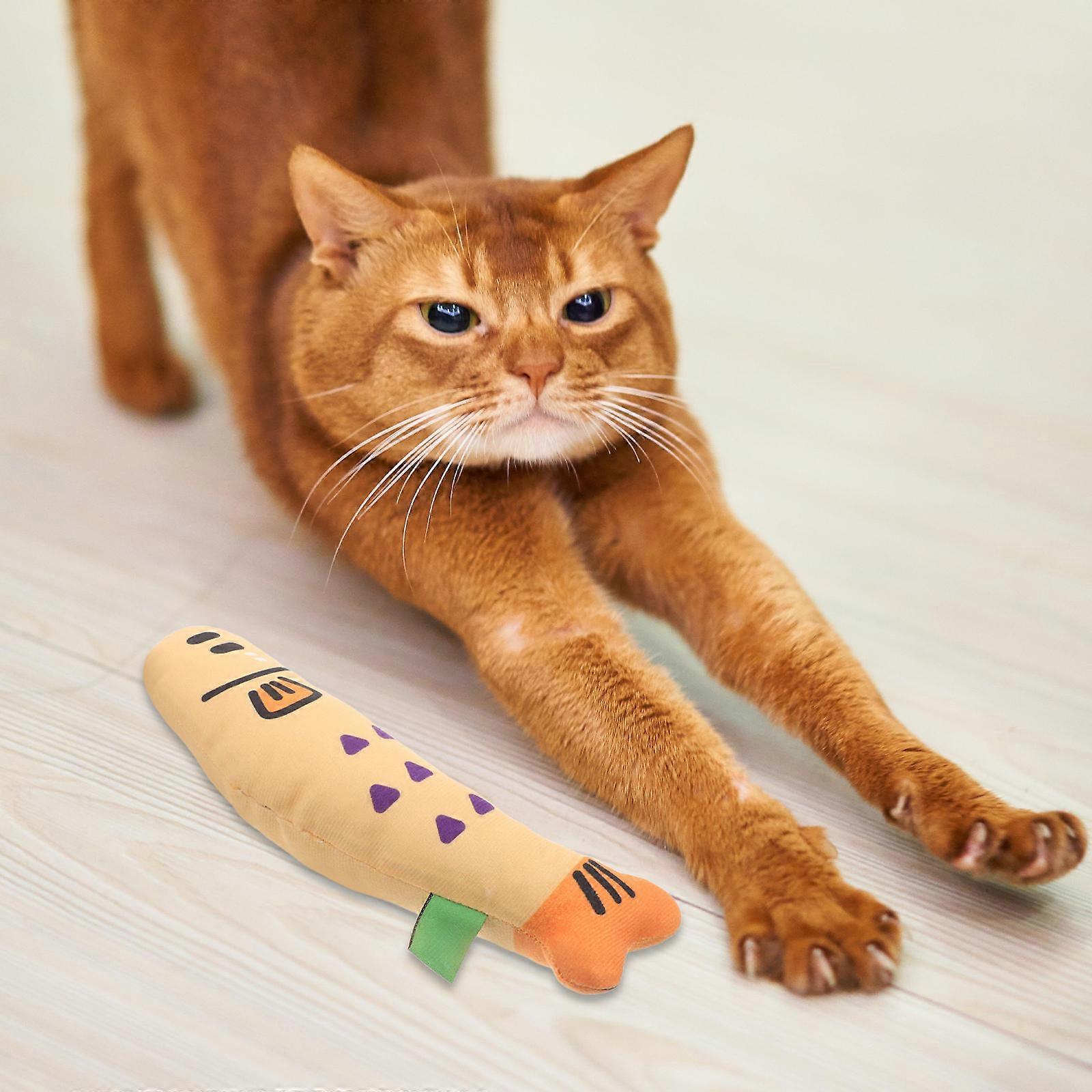 Cat Enrichment Toy for Indoor Cats 2Pcs Funny Interactive Fish Play