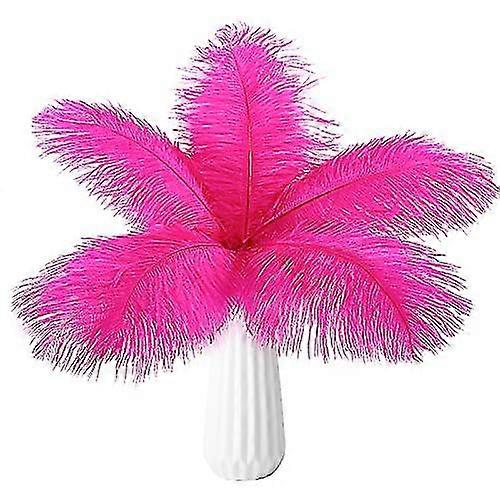 20pcs Bulk Feathers  Pink