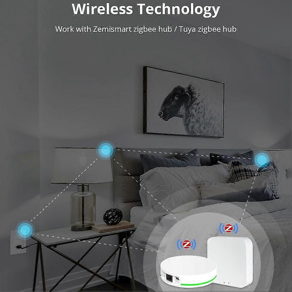 Tuya Zigbee Smart Brazil Socket 10A Switch Socket Support Voice TUYA APP Control for Smart Life App Control EU Plug