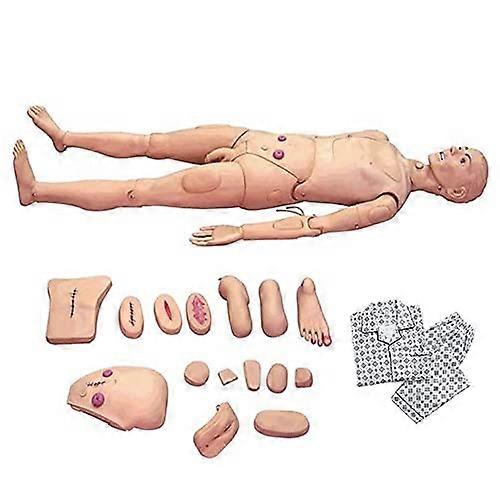 Nursing Training Manikin with Replaceable Wound Modules for Student Medical Simulation and Airway Practice