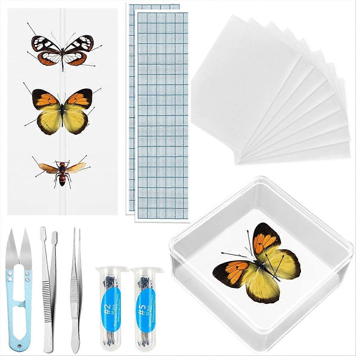 Insect Specimen Pinning Kit, Making Butterfly Specimen Tools