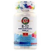 Vitamin B12 90 tablets (1000g)