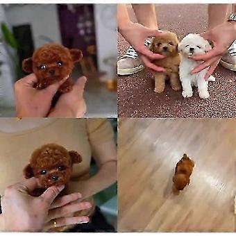Novo cão robô para adultos de 2025, cão robótico com IA, Nicoo - Meu filhote robô realista que age como um filhote de cachorro de verdade - andando, latindo e abanando o rabo