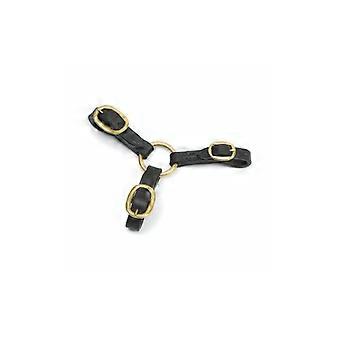 Blenheim Leather Horse Coupling