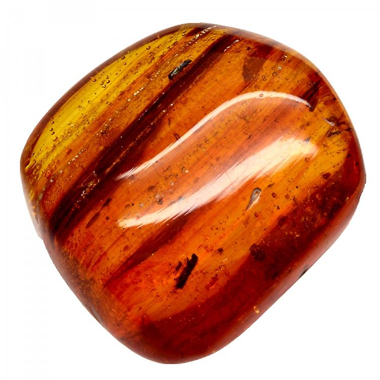 49,29カラット アンバー、ドミニカ共和国産、ゾウムシ&フライ カボション、31x29mm awo99