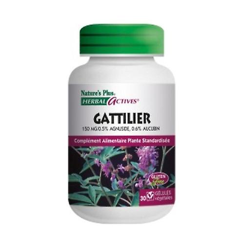 Chaste tree 30 capsules