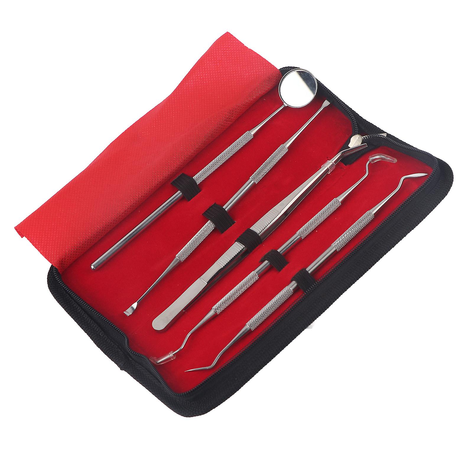 Ensemble d'outils professionnels de dentiste en acier inoxydable, kit de nettoyage et d'hygiène dentaire, 5 pièces