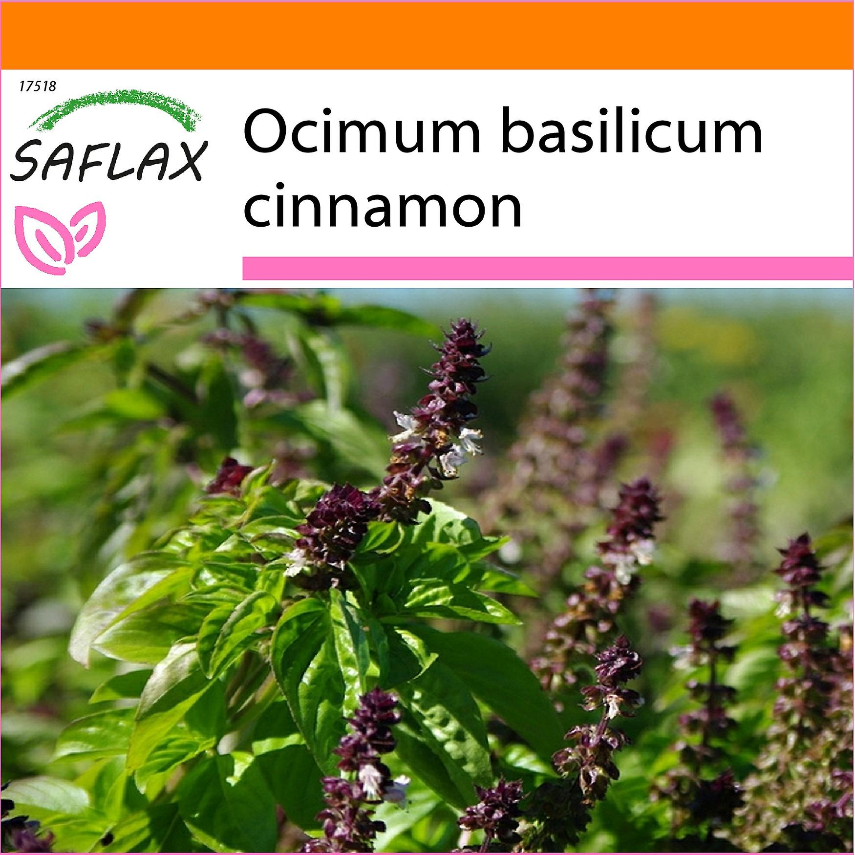Saflax - Garden in the bag - 200 seeds - Cinnamon Basil - Basilic cannelle - Basilico cannella - Albahaca canela - Zimt-Basilikum