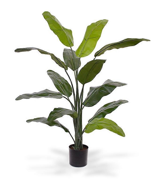 Traveller Palm (130 cm)