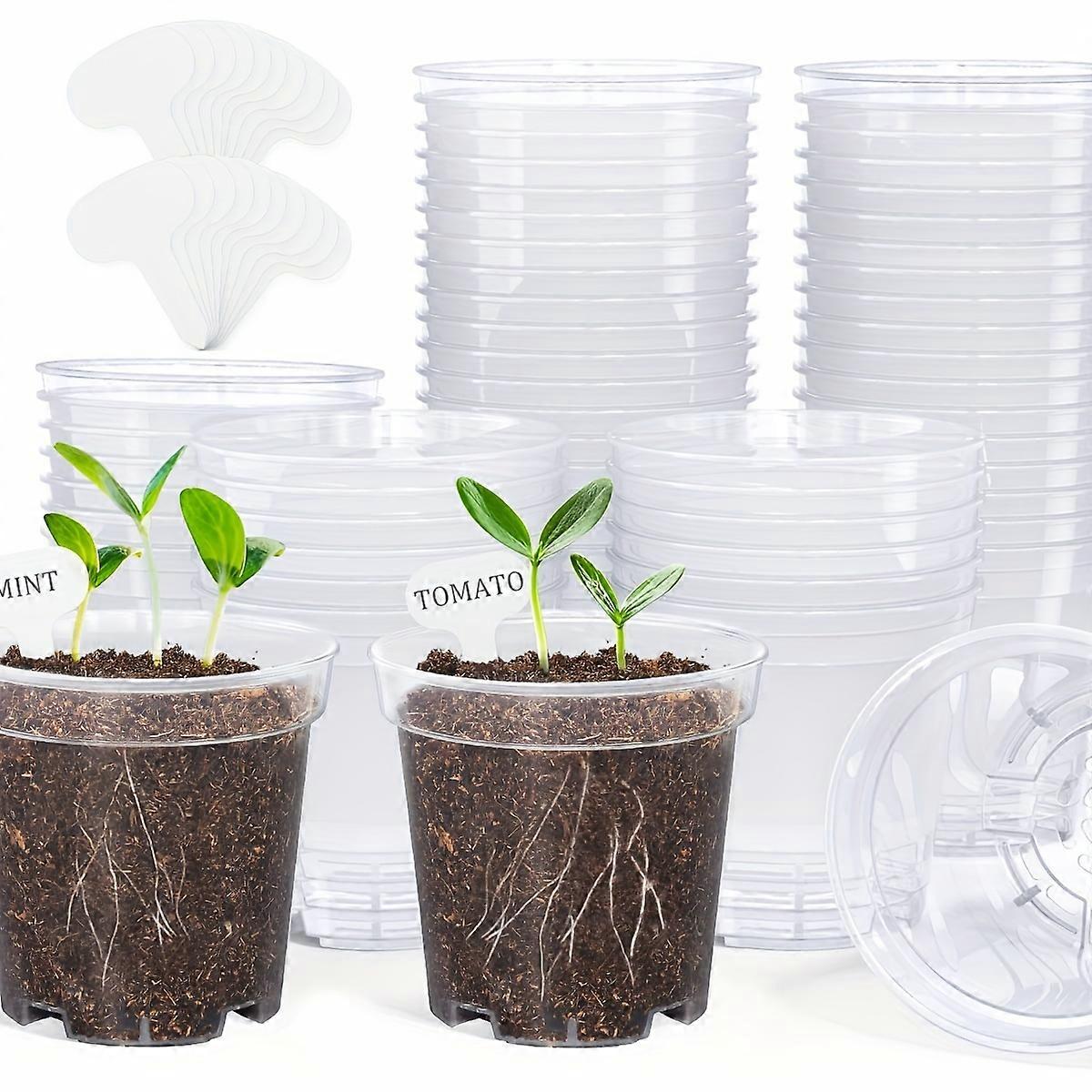 60pcs, Clear Nursery Pots, 4 Inches Seedling Pots With Drainage Holes, High Transparency Plant Pots Durable Seed Starter Pots Reusable For Plants Vege