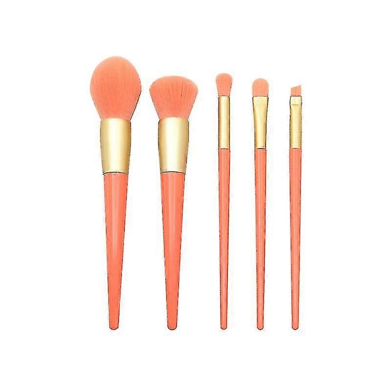 5pcs Cosmetic Brushes Set