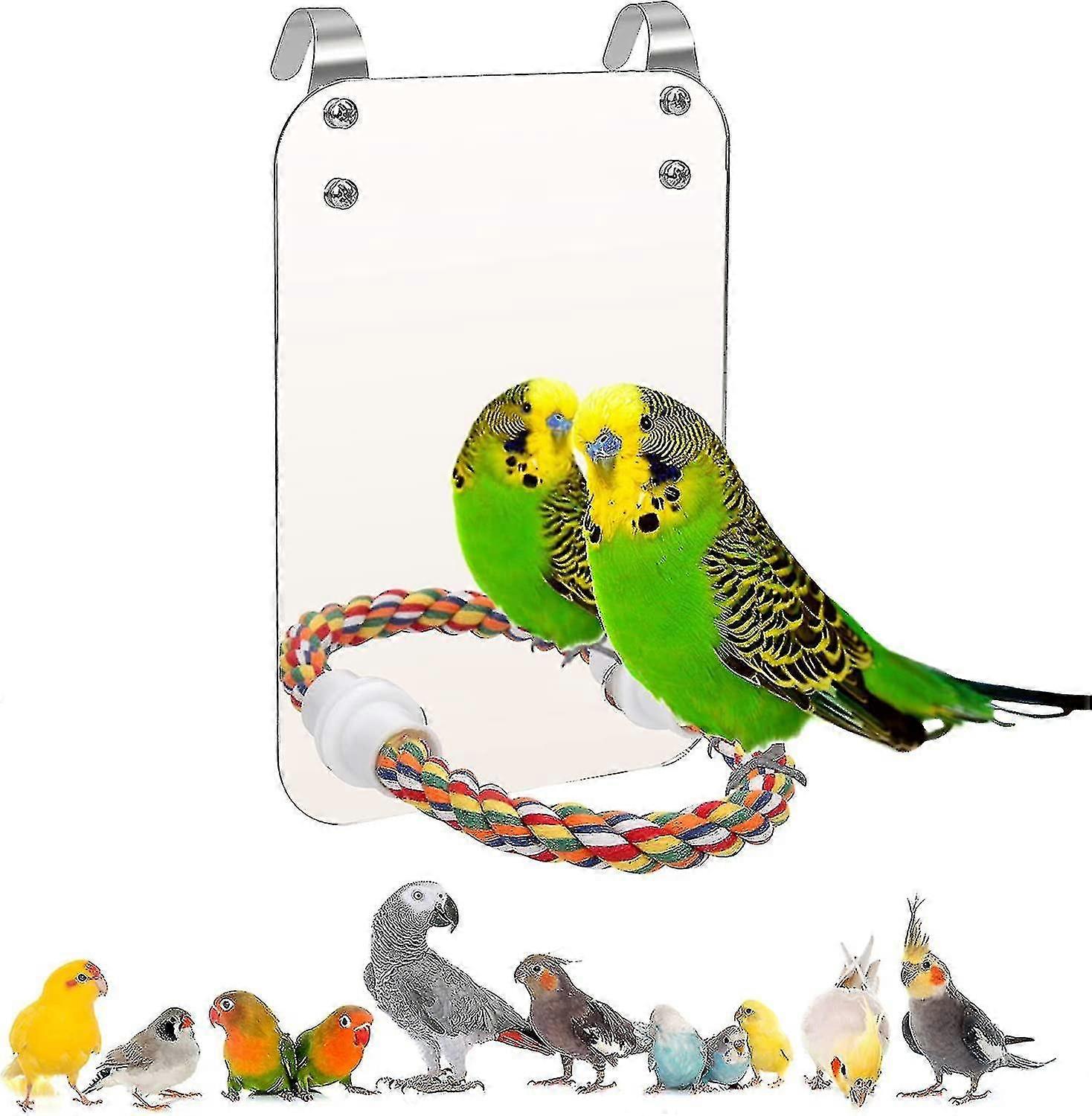 Bird Stand Rope Perch With Mirror Parrot Toy, Bird Mirror For Parakeets Cage Parrot Mirror With Rope