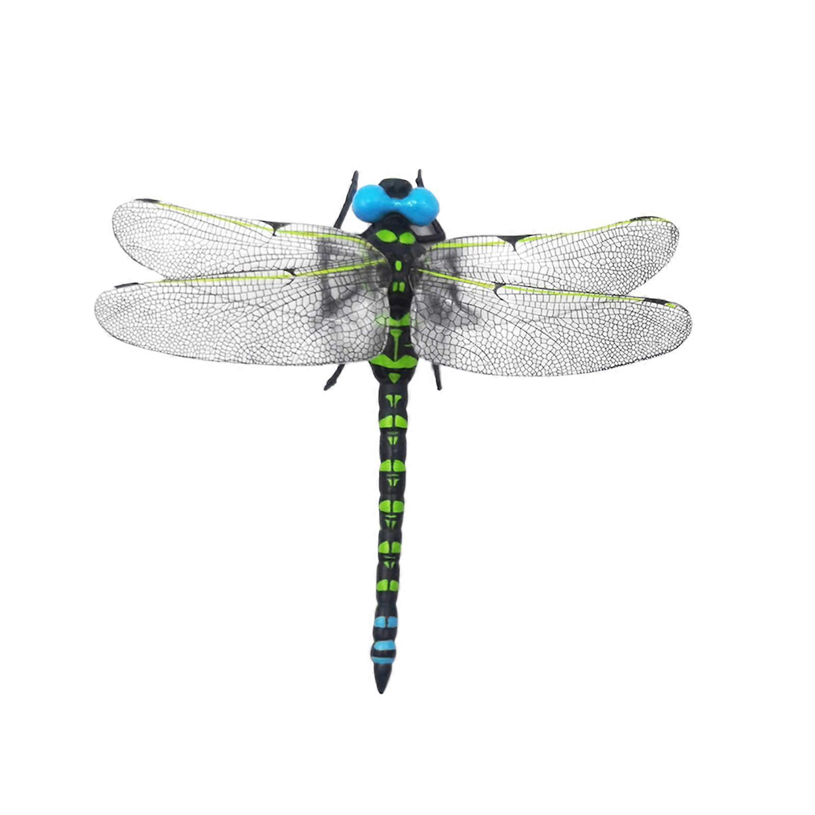 Simulering Dragonfly Modell Prydnad Vardagsrum TV-skåp Dekorer Simulering Dragonfly Modell Dekoration PVC 12cm Utomhusprodukter Fake Dragonfly