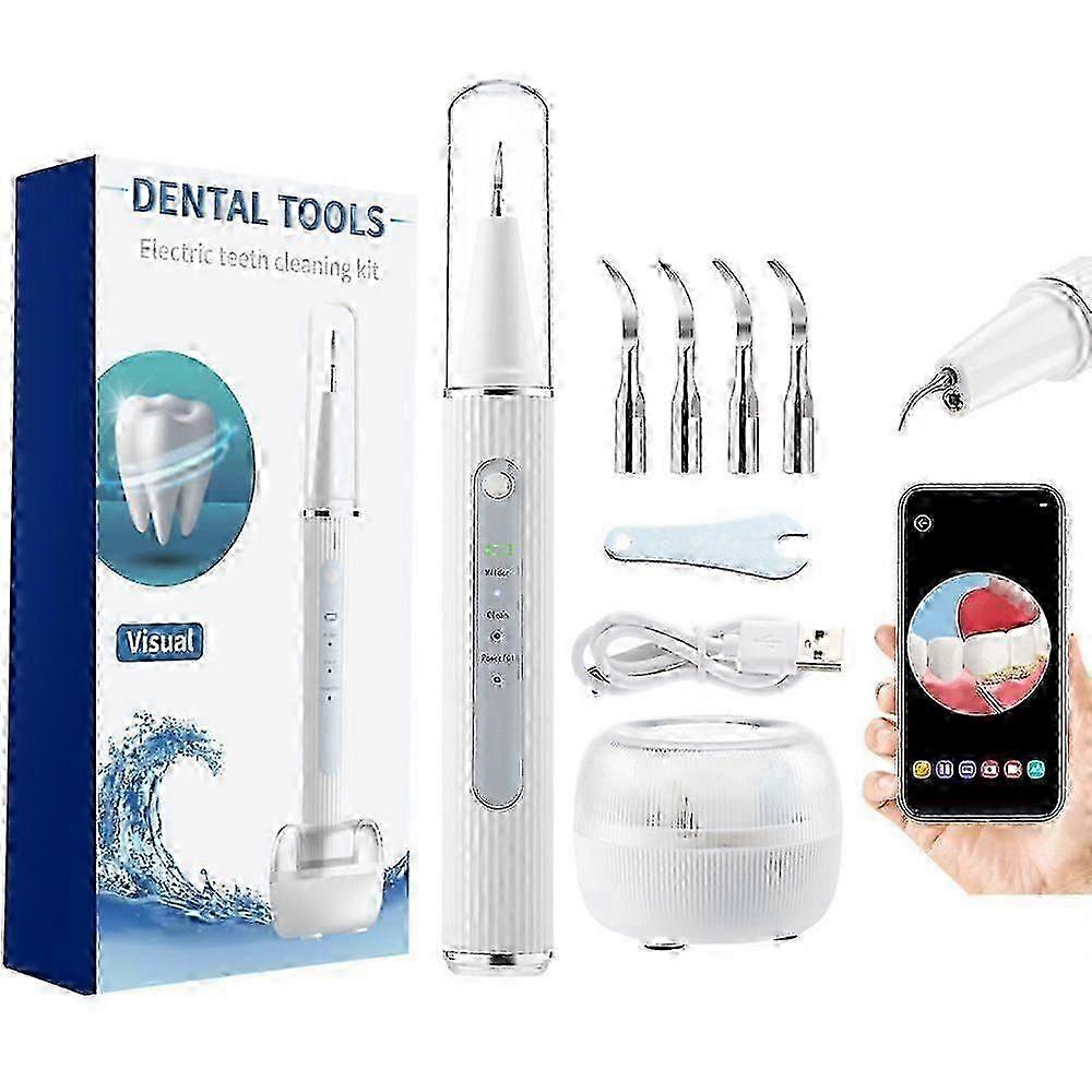 2025 2-in-1 Ultrasonic Dental Cleaner with Visualized Flushing for Calculus Removal & Plaque Cleaning_MM2