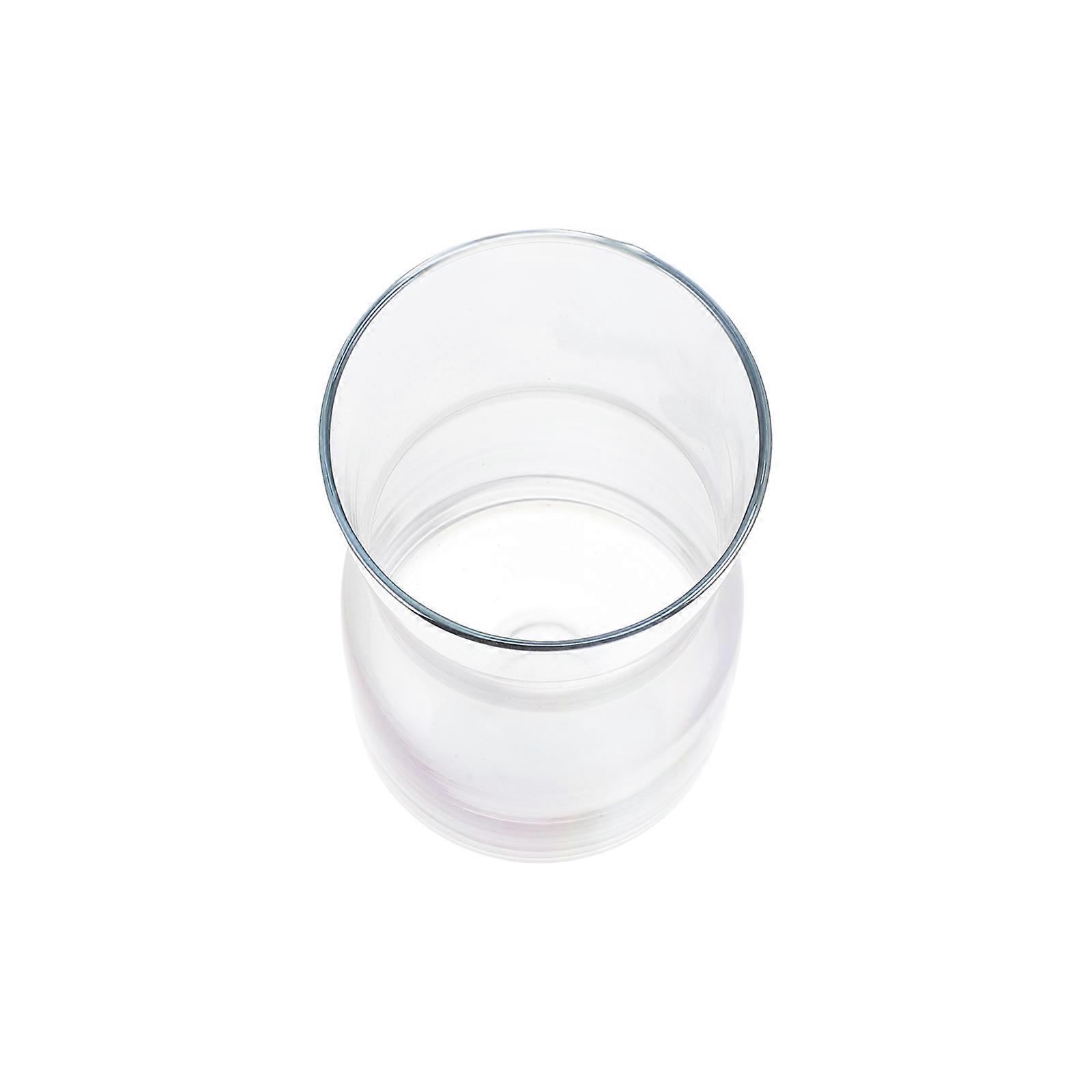 Smooth Transparent Glass Vase for Hydroponic Planting 2Pcs Set