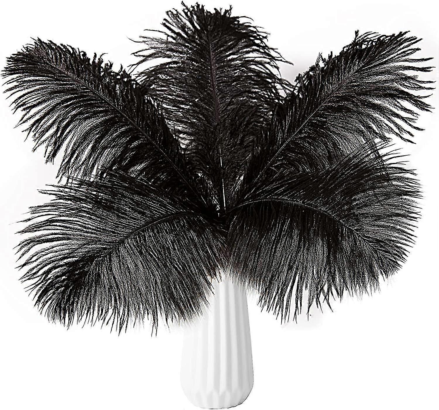 20pcs Bulk Feathers  Black