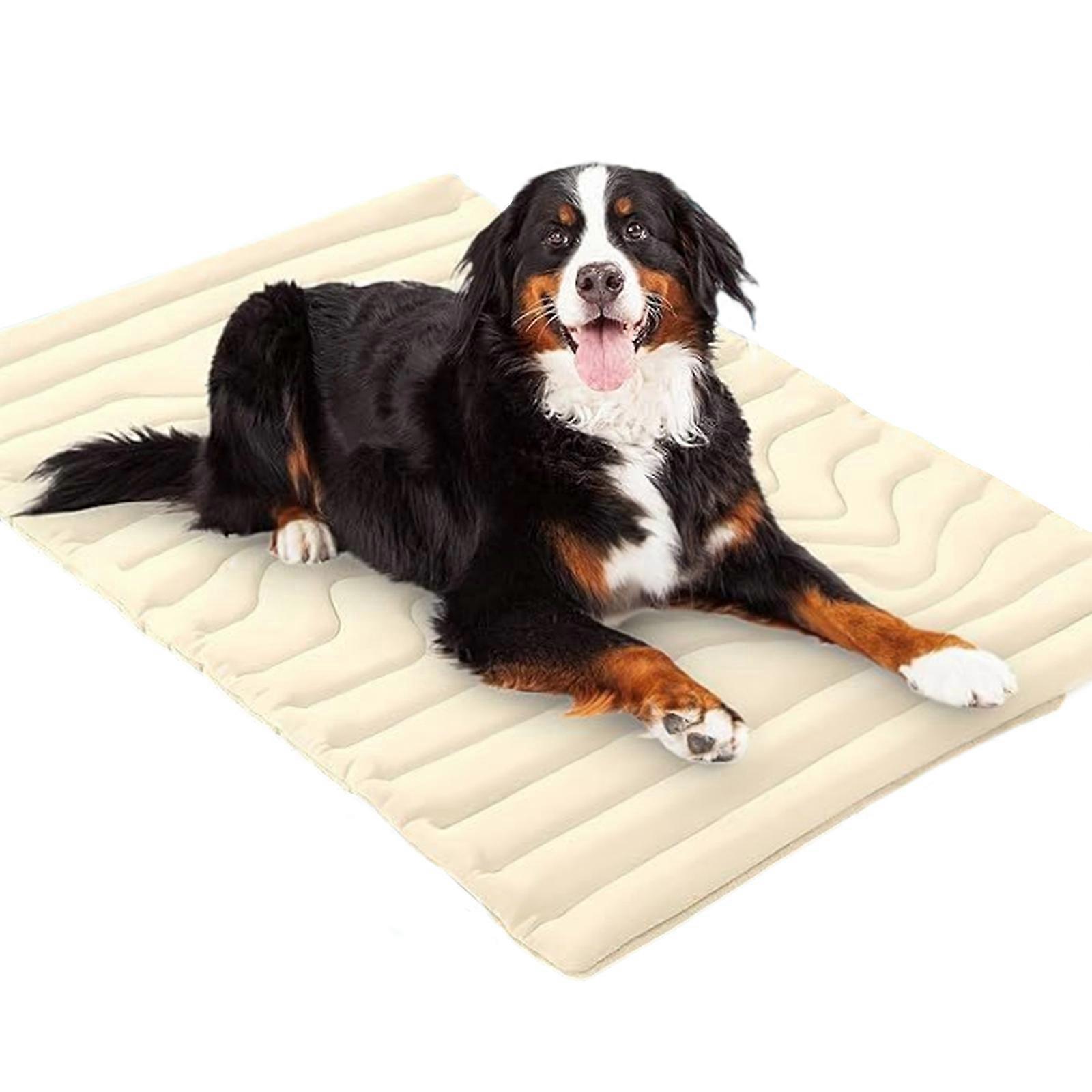 Many Functional Freezing Organisms Bed Ice Tech Fabric Dog Puss Blanket For Safe Substance Dense Pliable Design  White XL