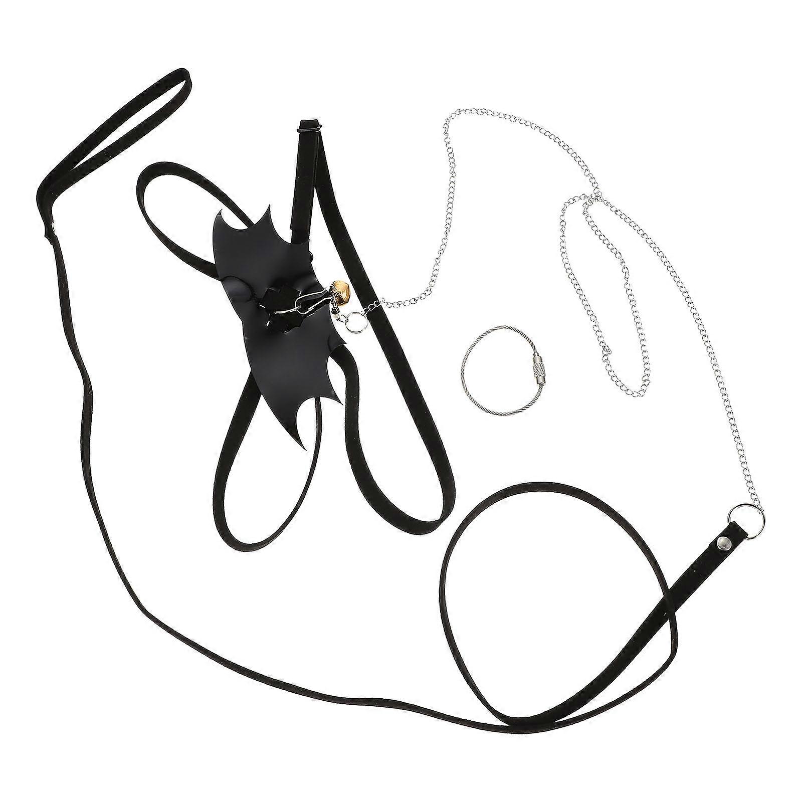 Walking Lizard Leash Lizard Harness for Pet Use 5Sets