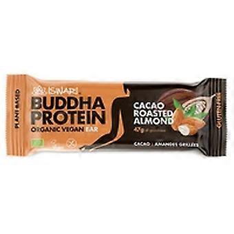 Organic and vegan buddha protein bar with cocoa and almonds 1 bar of 47g