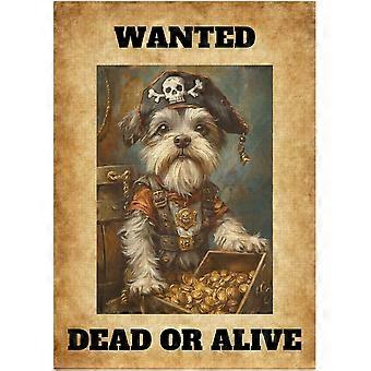 Wanted Miniature Schnauzer Pirate Jigsaw Puzzle - Funny Gift for Dog Lovers as Adventure and Fantasy Theme Decor Puzzles SQZ697