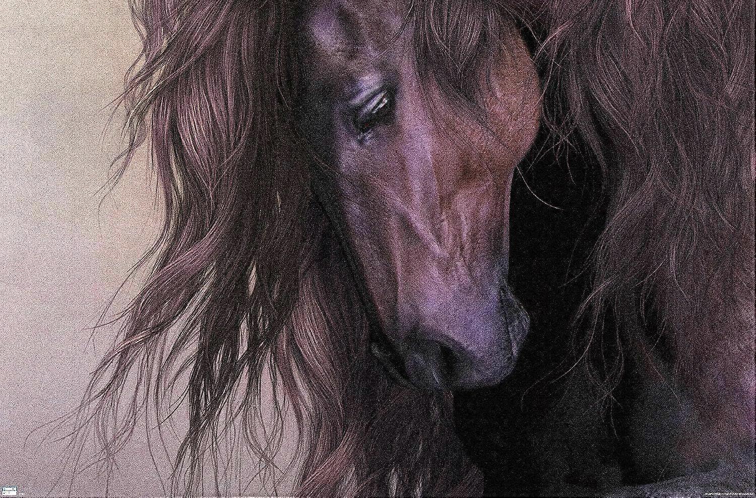 Equus Jigsaw Puzzle AD666