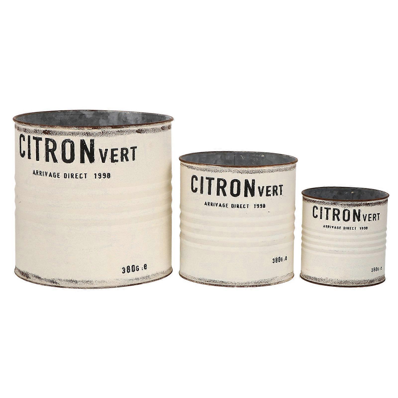 Galvanized Sheet Flower Pot for Flower Arrangement Rustic Retro Containers
