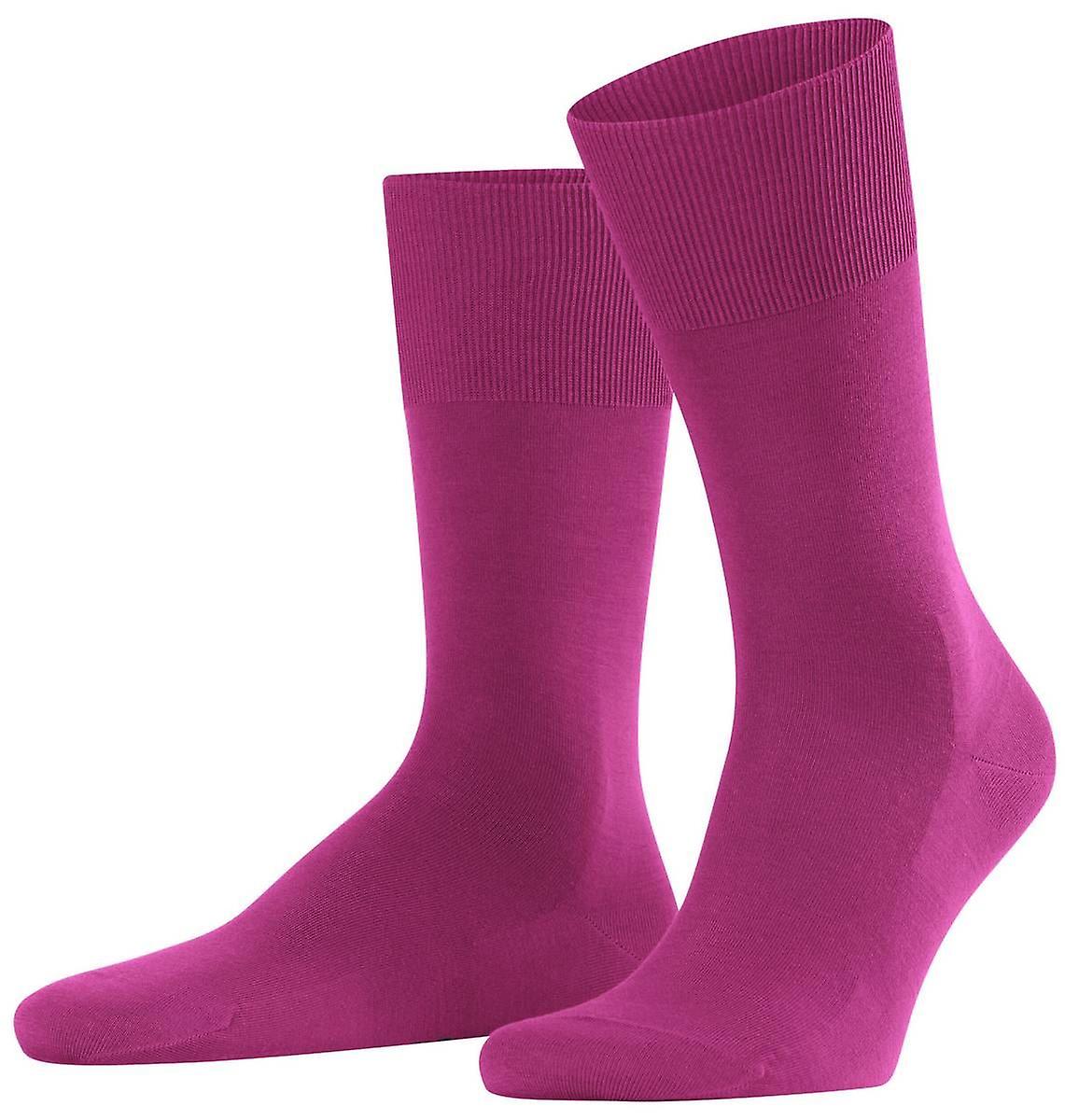 Falke Climawool Socks - Berry Pink